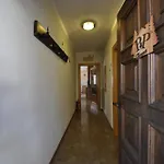 P&p *